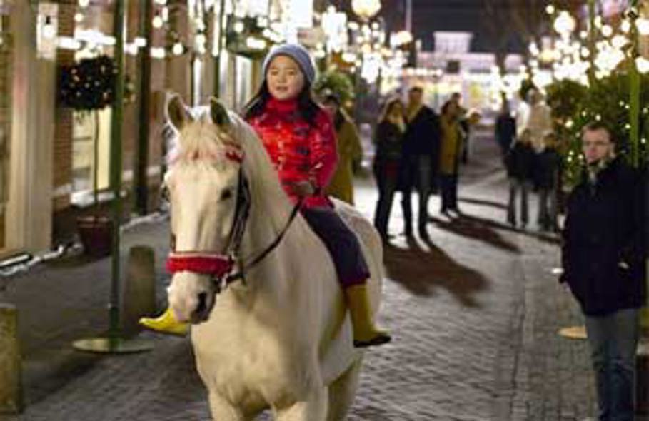 Het Paard Van Sinterklaas