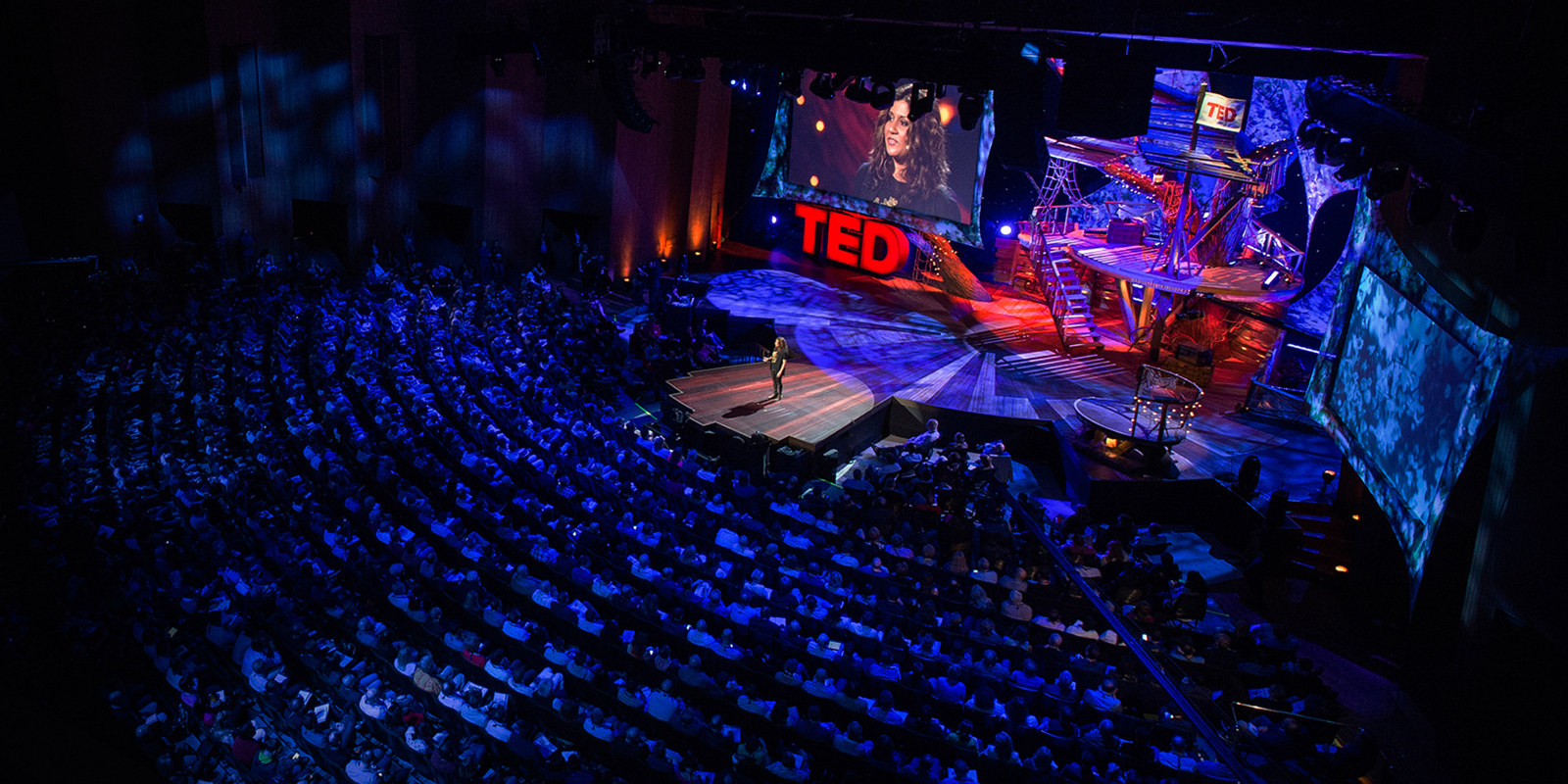 Ted 2016 Dream Opening Night Trailer Reviews And Meer Pathé