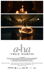 a-ha: True North