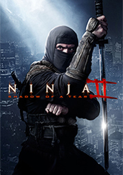 Ninja 2 Shadow of a Tear