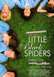 Little Black Spiders