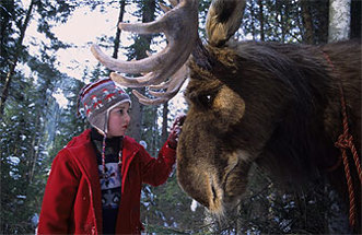 Prettige Kerst Mr. Moose - trailer
