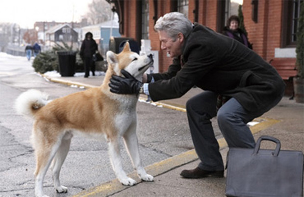 Hachi A Dog's Story Kijk nu online bij Pathé Thuis