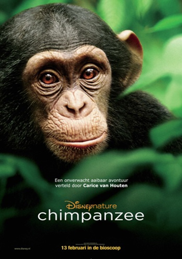 Chimpanzee Chimps are